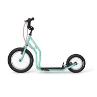 ������� ��� ����� Yedoo Wzoom New, ���� ���������